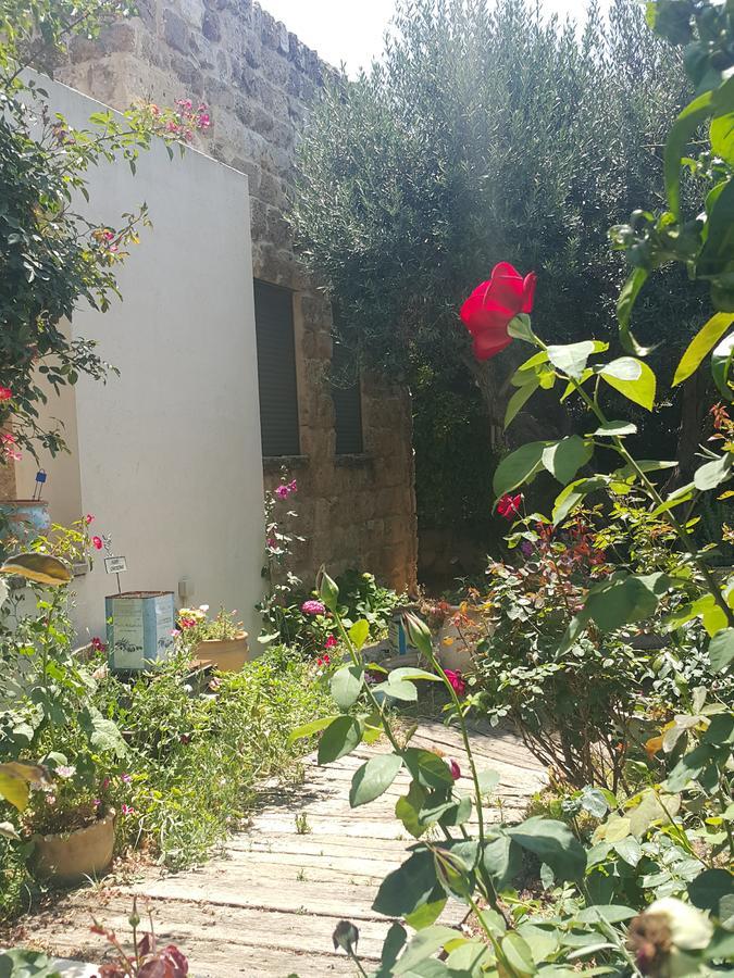 The House Of Taly & Erez Otel Netaim Dış mekan fotoğraf