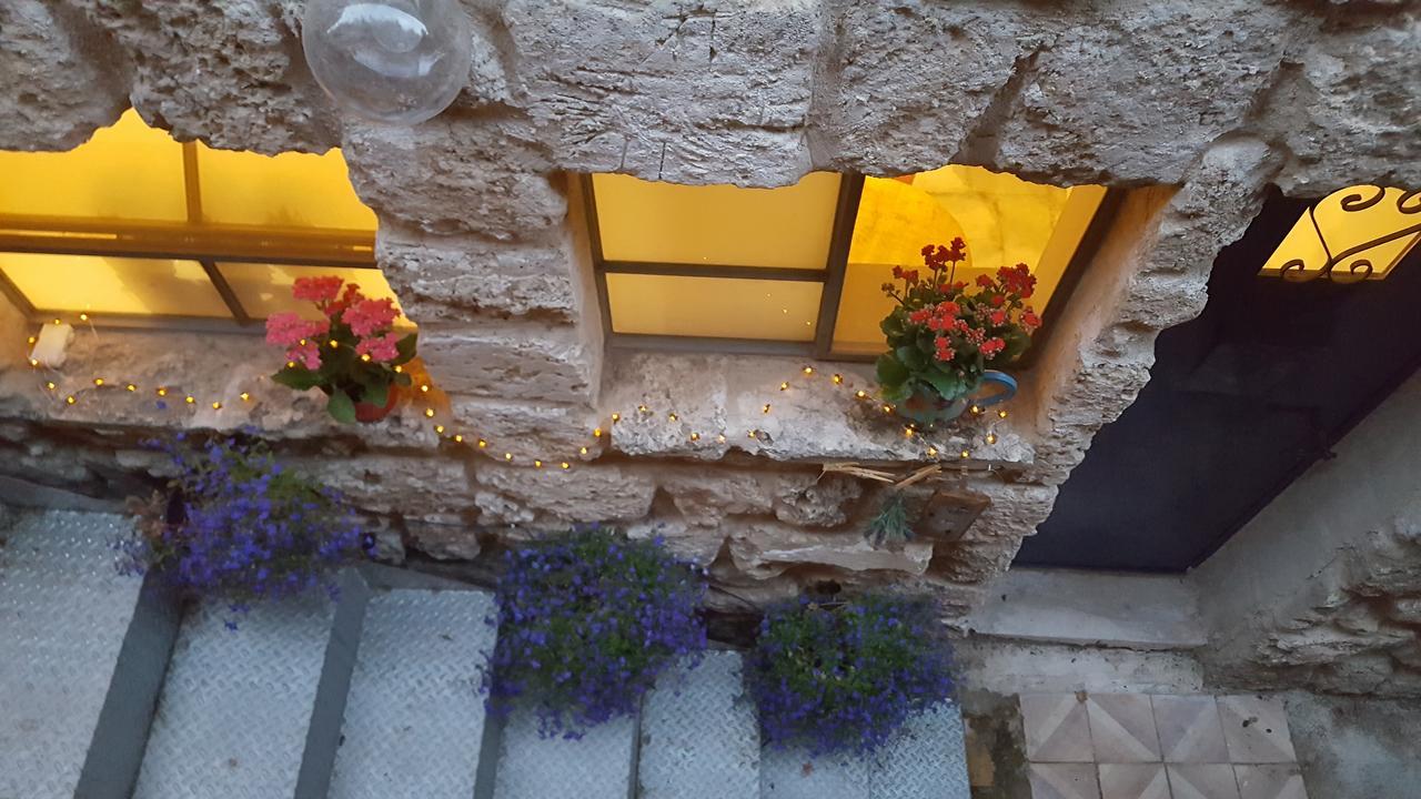 The House Of Taly & Erez Otel Netaim Dış mekan fotoğraf