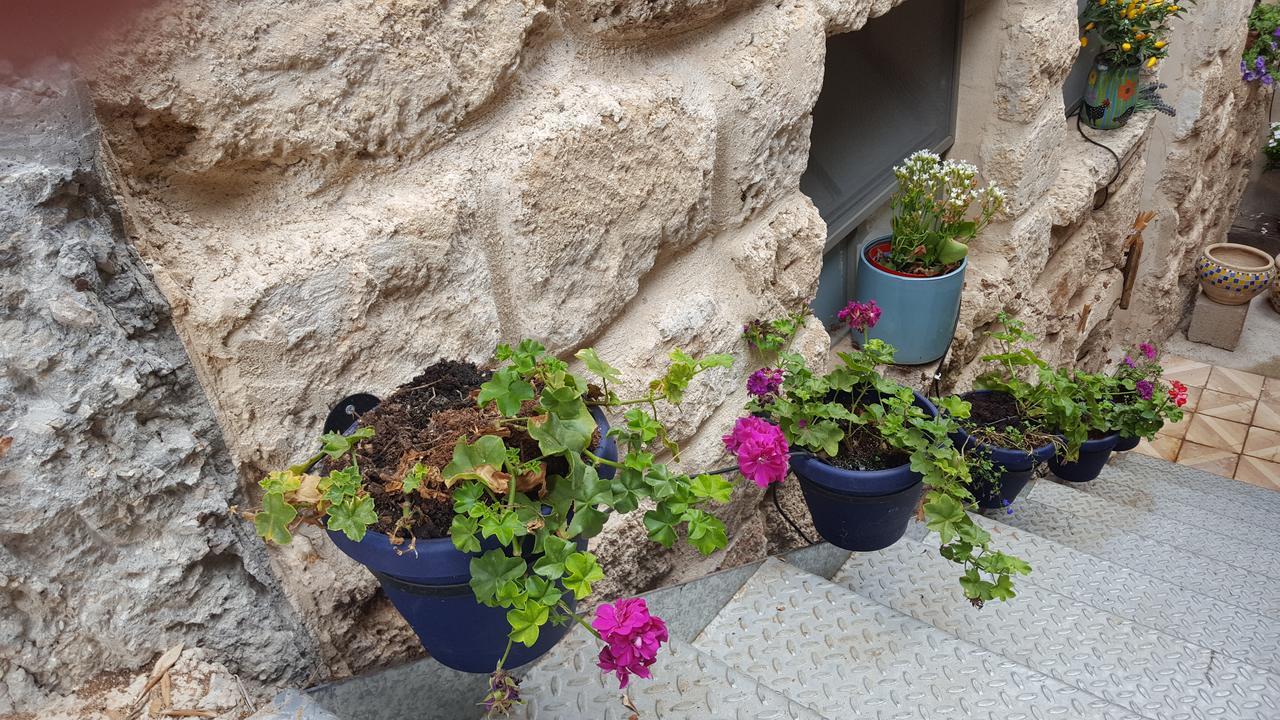 The House Of Taly & Erez Otel Netaim Dış mekan fotoğraf